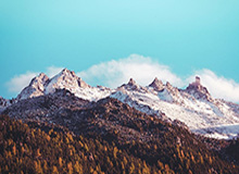 华体会中国官网：官方入口，连接你与每一场热爱的精彩